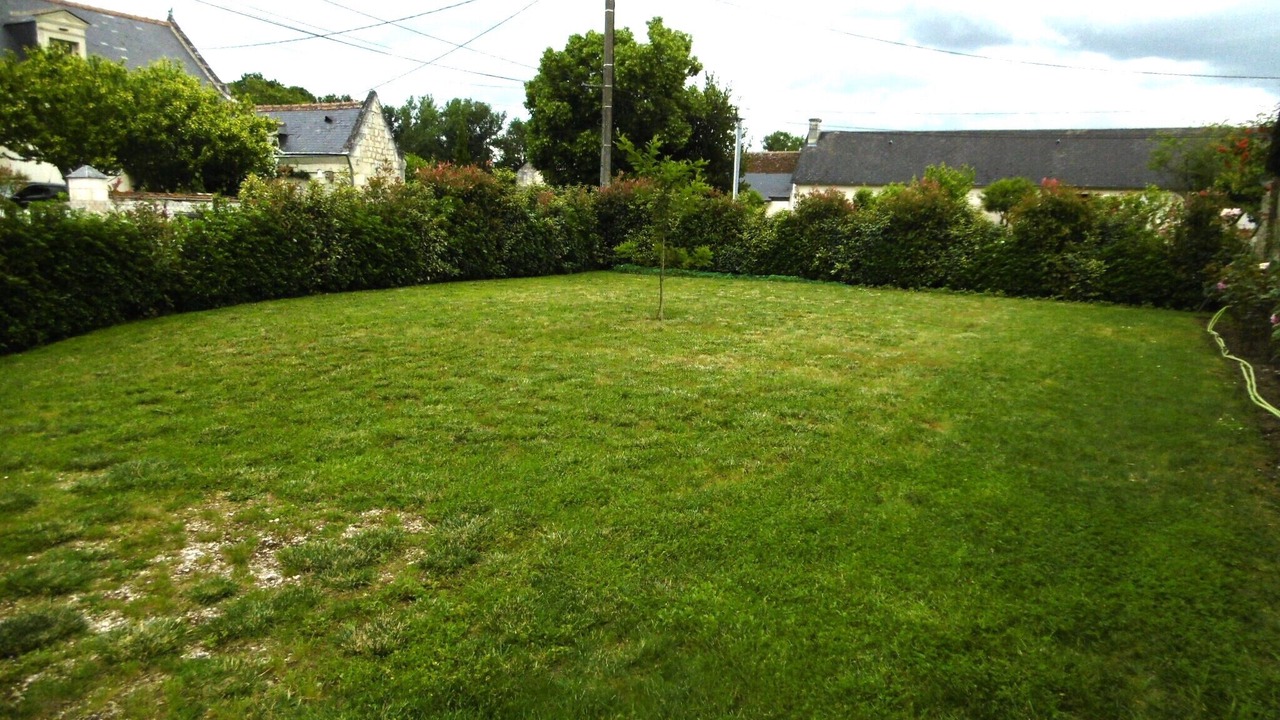 Photo of Outdoor in Savigny-en-Veron