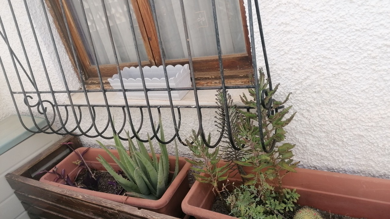 Photo of Outdoor in El Chaparral