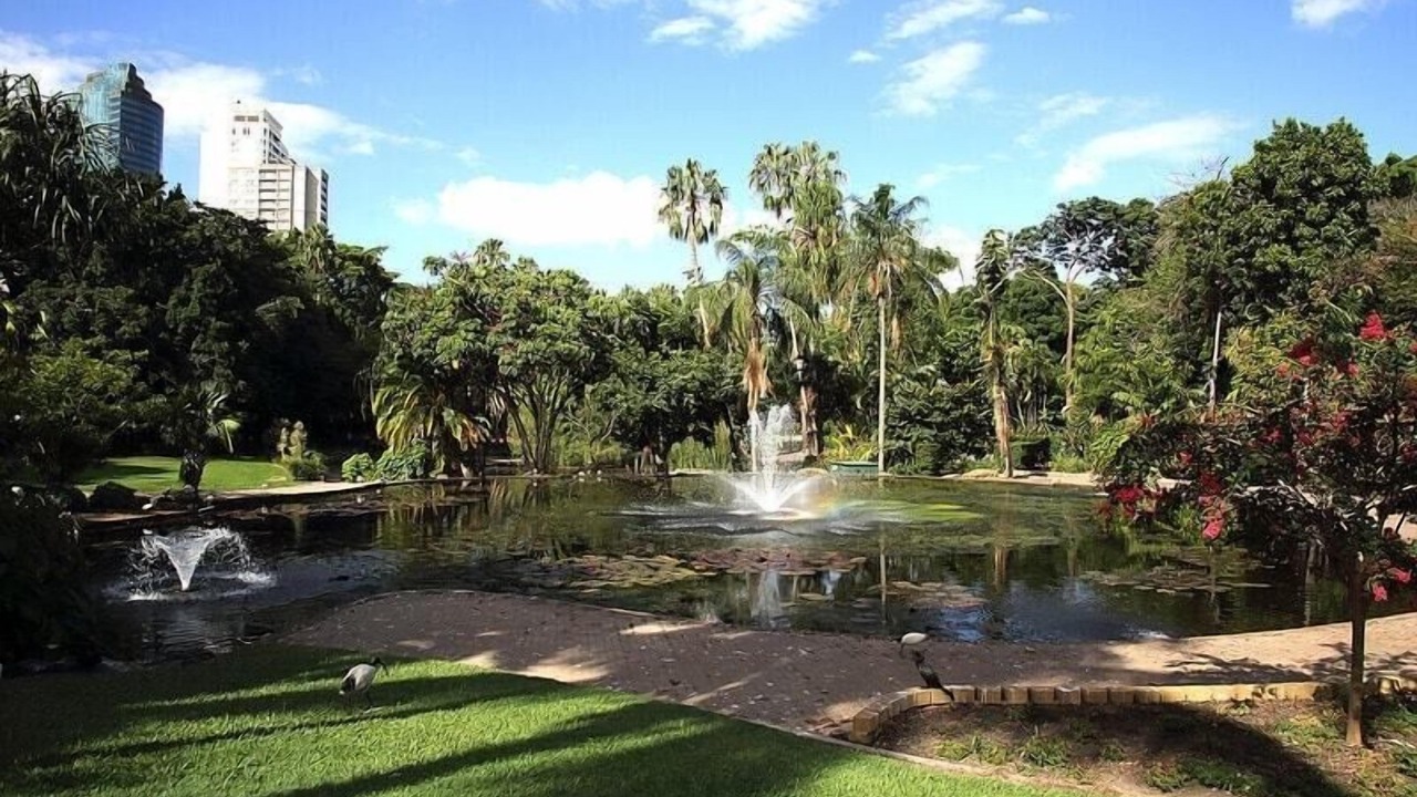 Photo of Outdoor in Spring Hill