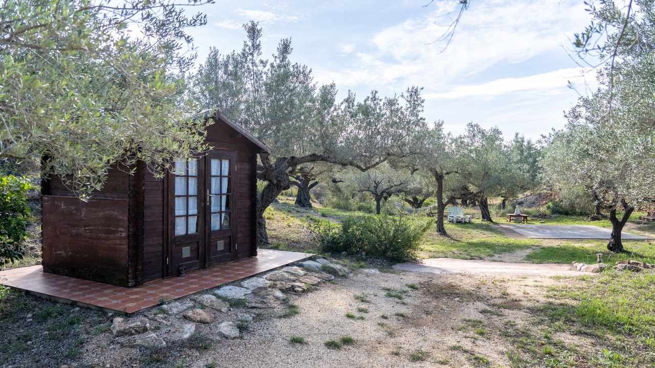 Photo of Outdoor in Camarles