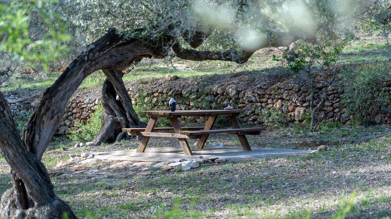 Photo of Outdoor in Camarles