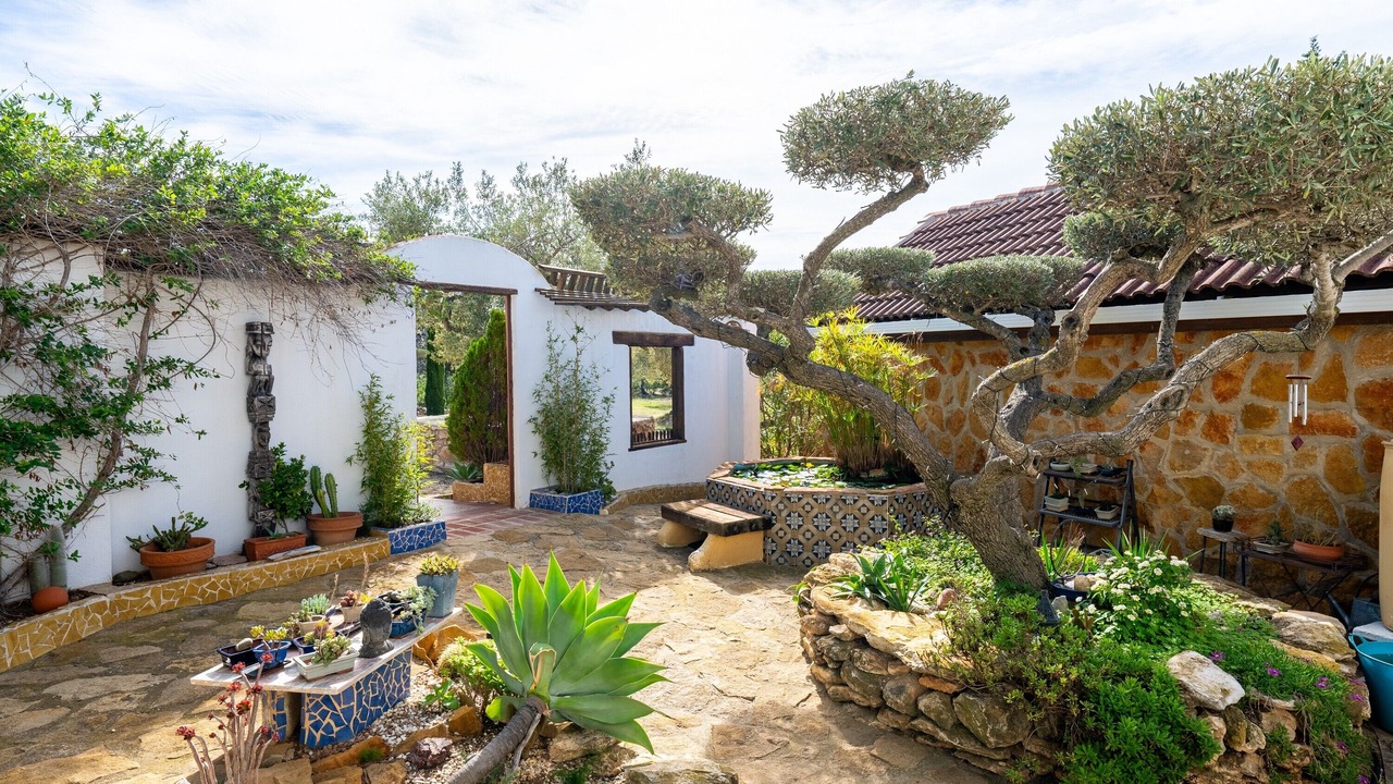 Photo of Patio Balcony in Camarles