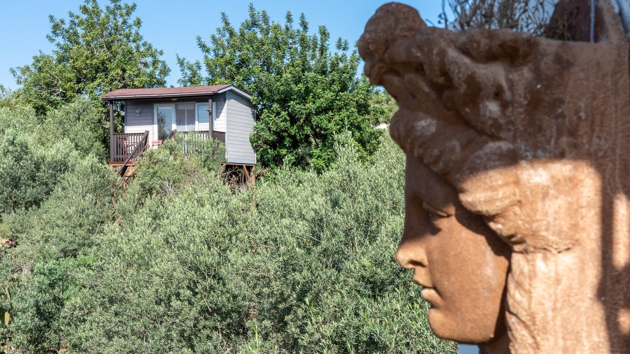 Photo of Outdoor in Camarles