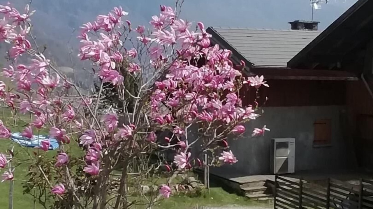 Photo of Outdoor in Aiton