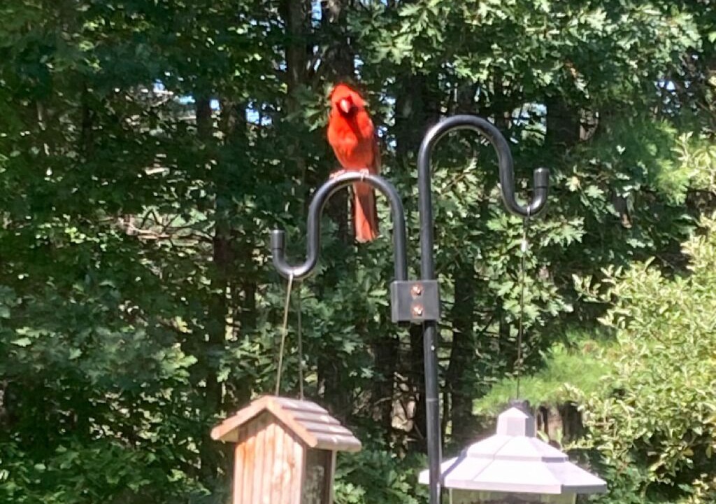 Photo of Others in Springfield