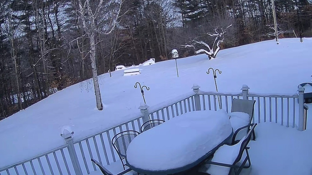 Photo of Others in Springfield