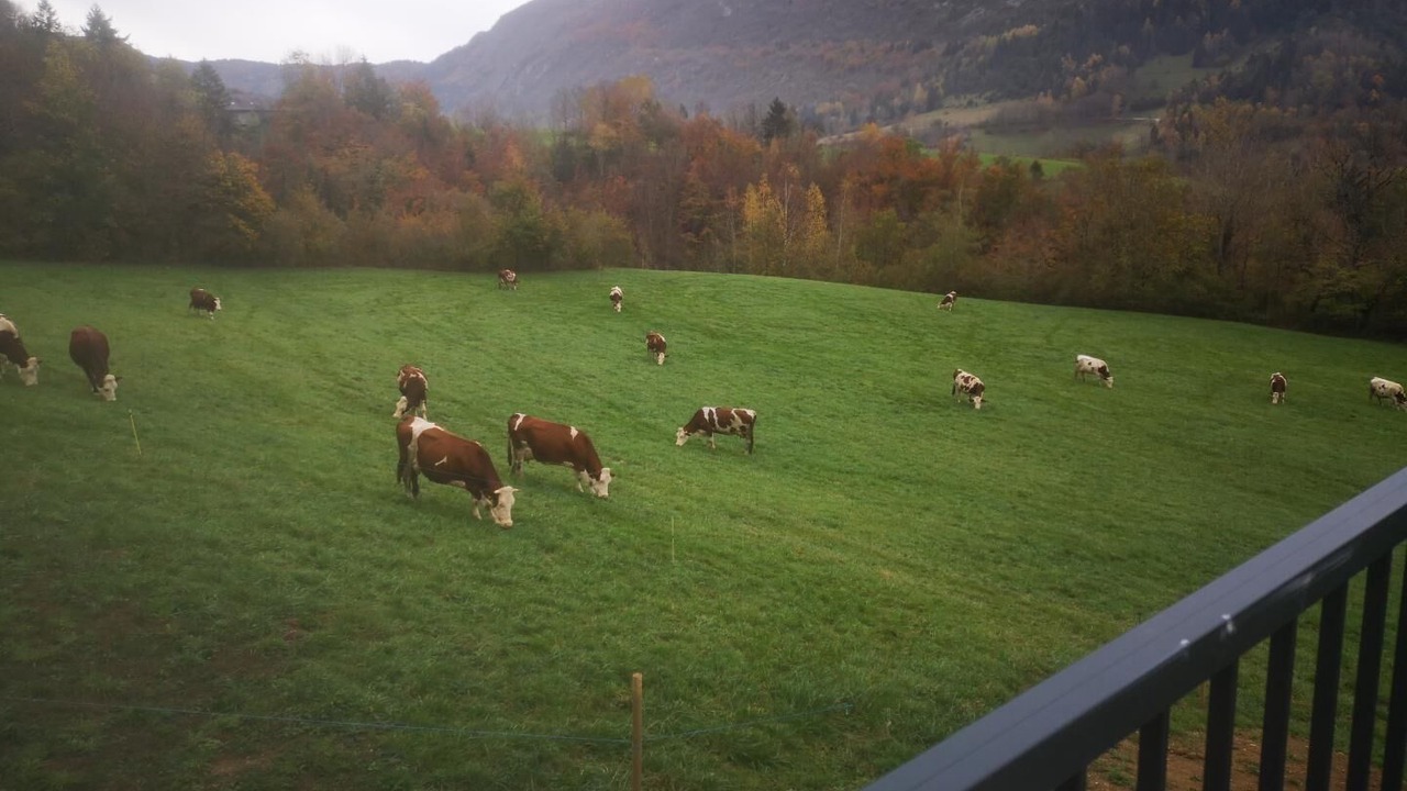 Photo of Others in La Thuile