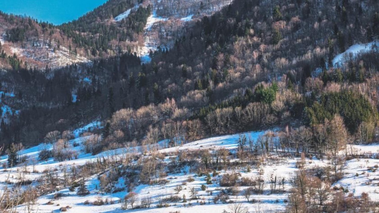 Photo of Others in La Thuile