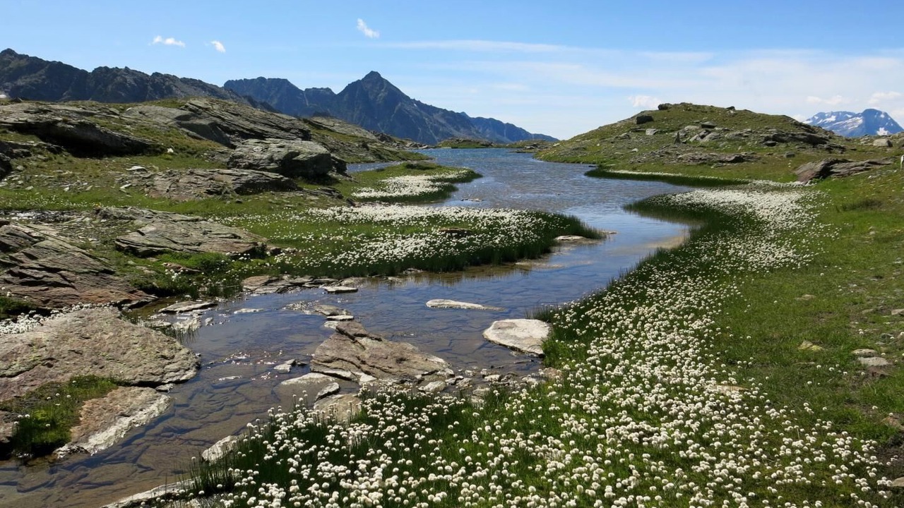 Photo of Others in Bramans