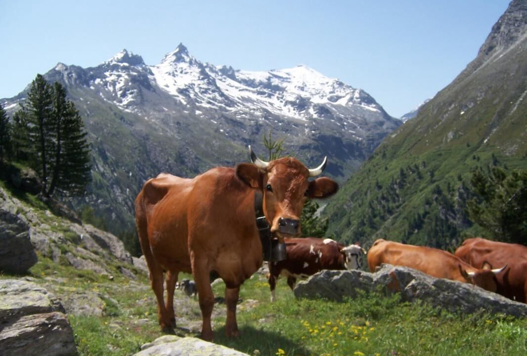 Photo of Outdoor in Bramans