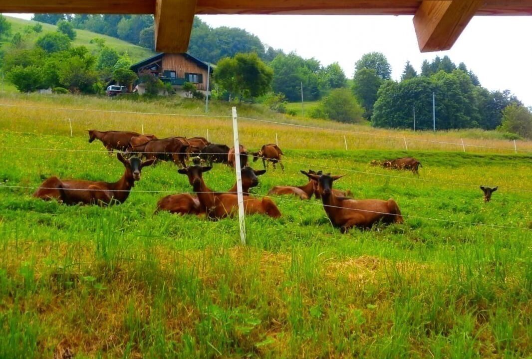 Photo of Outdoor in Le Cornix