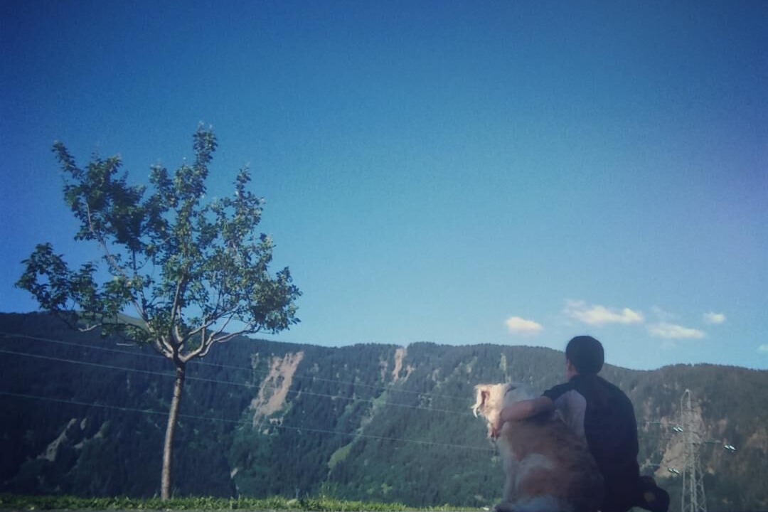 Photo of Others in Le Cornix