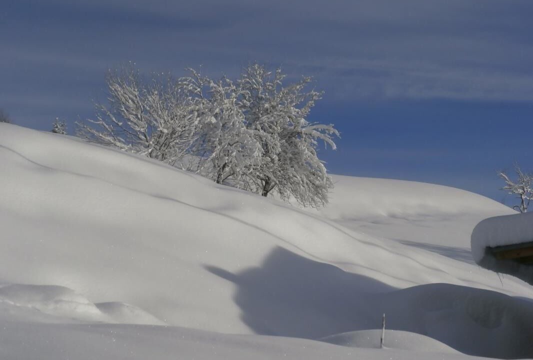 Photo of Others in Le Cornix