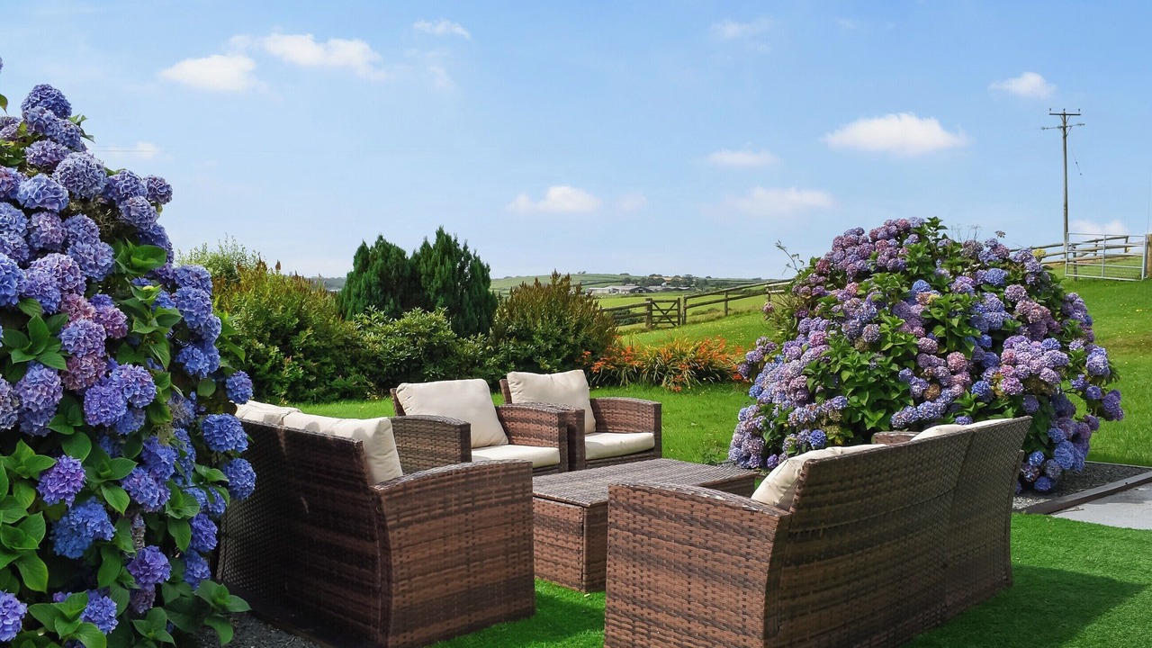 Photo of Others in Bude