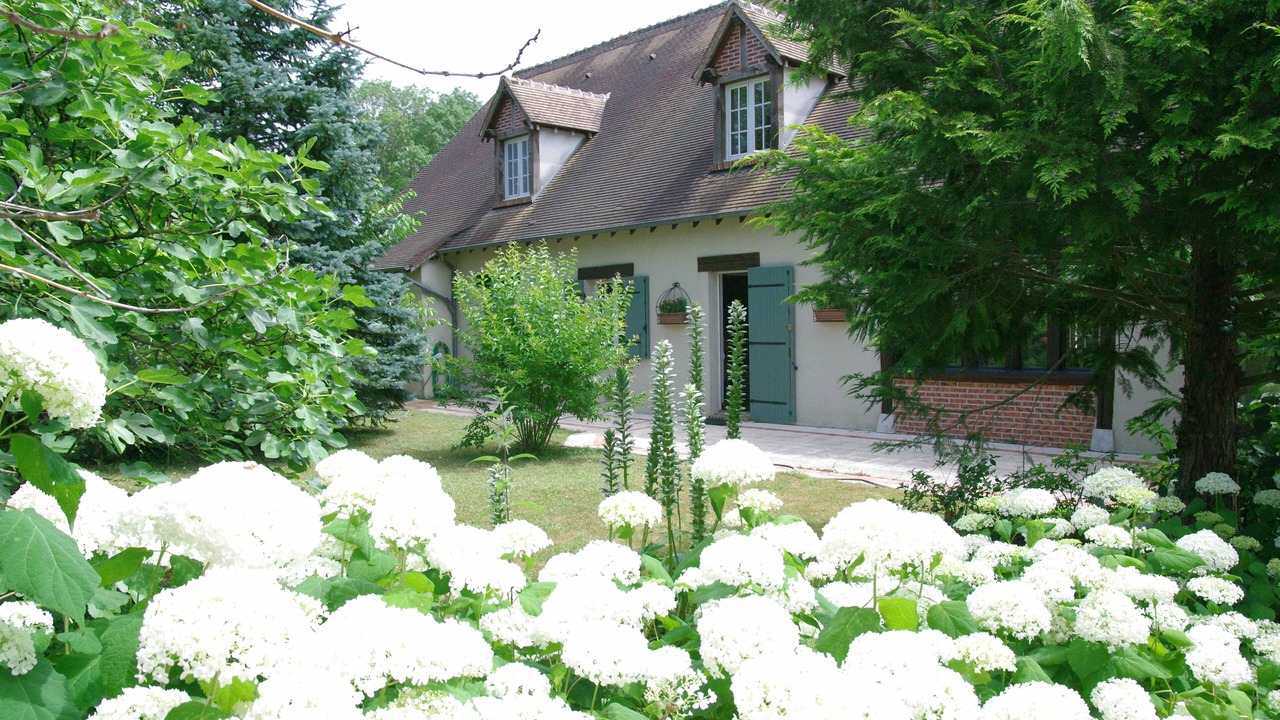 Photo of Others in Cellettes