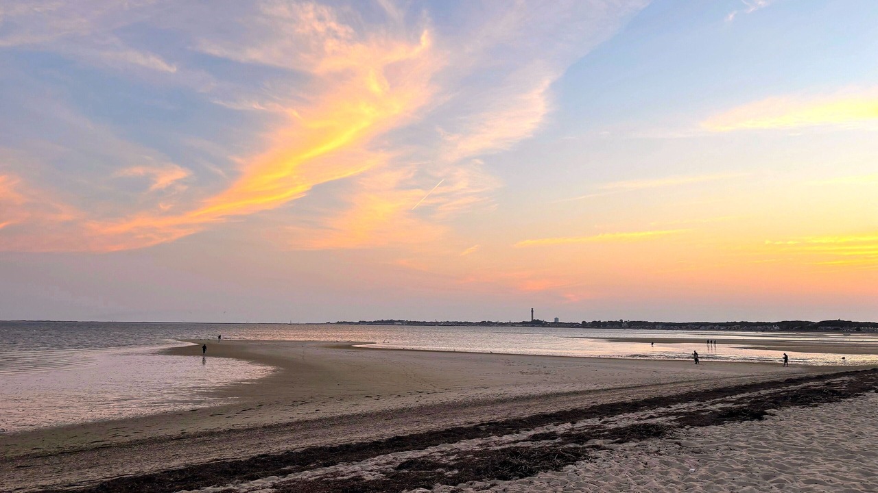 Photo of Others in North Truro