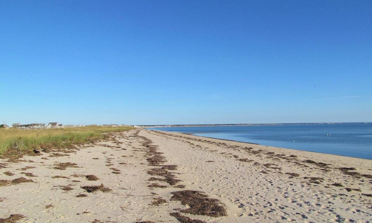 Photo of Others in North Truro