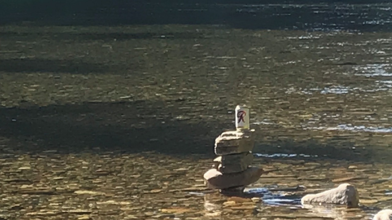 Photo of Others in Kellogg