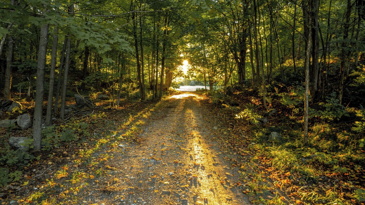 Photo of Outdoor in Lanark Highlands