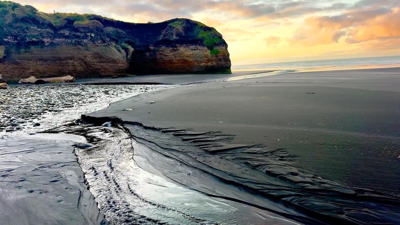 Photo of Others in Waverley