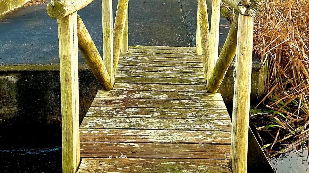 Photo of Outdoor in Waverley