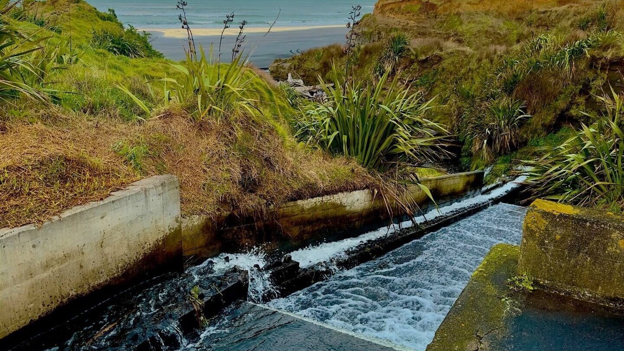 Photo of Others in Waverley