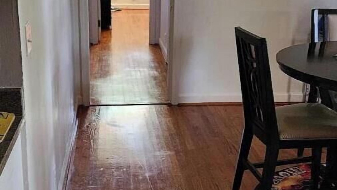 Photo of Others in Orangeburg