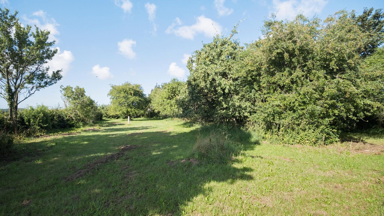 Photo of Others in Ronne