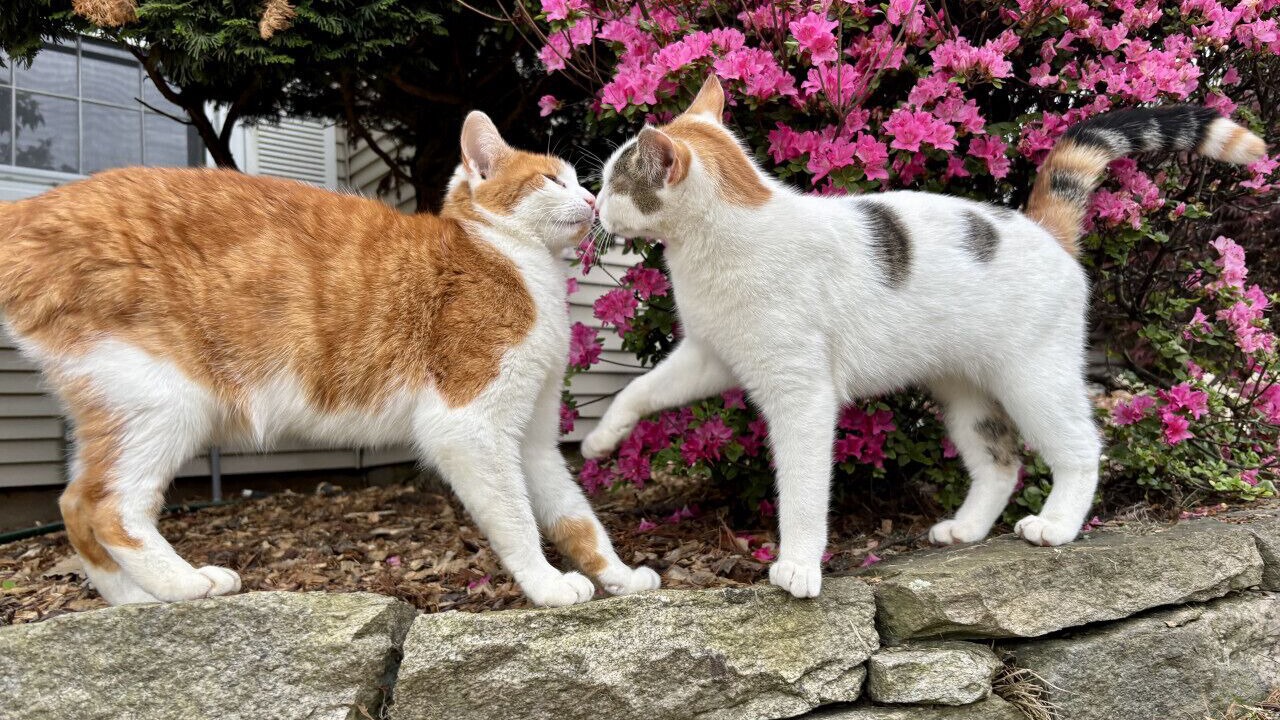 Photo of Others in West Hartford