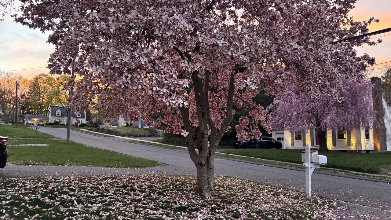 Photo of Others in West Hartford