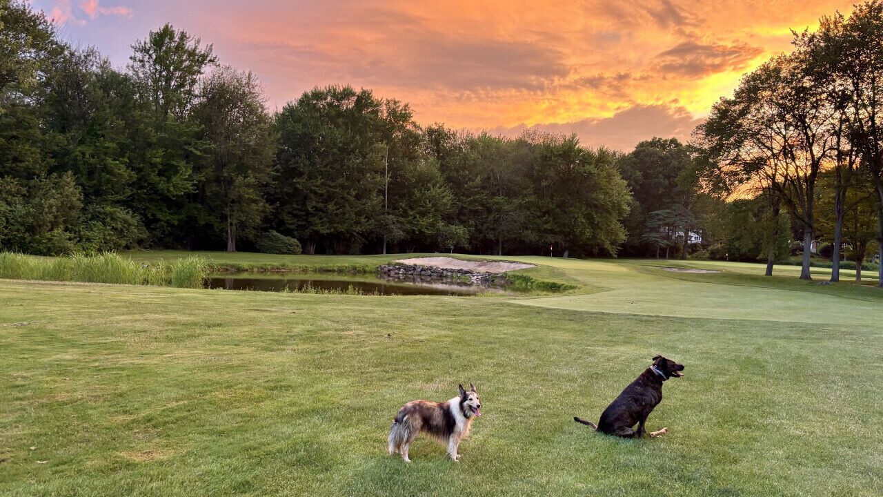 Photo of Others in West Hartford