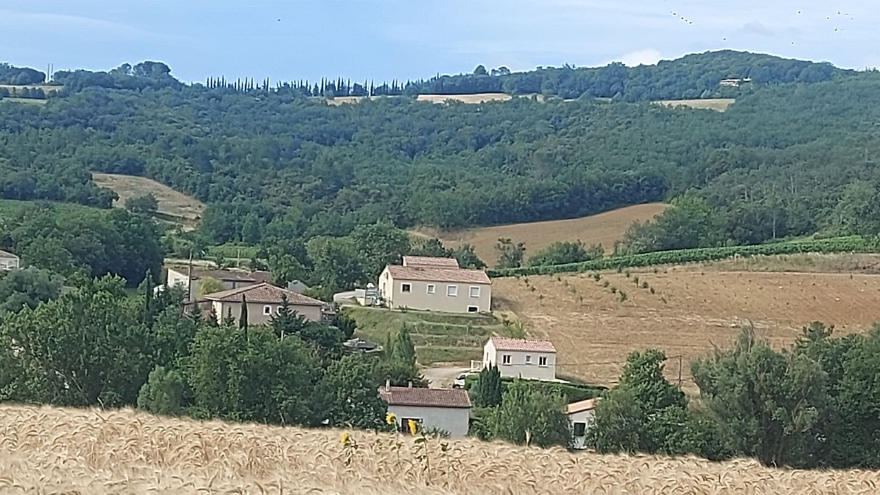 Photo of Others in Ajac