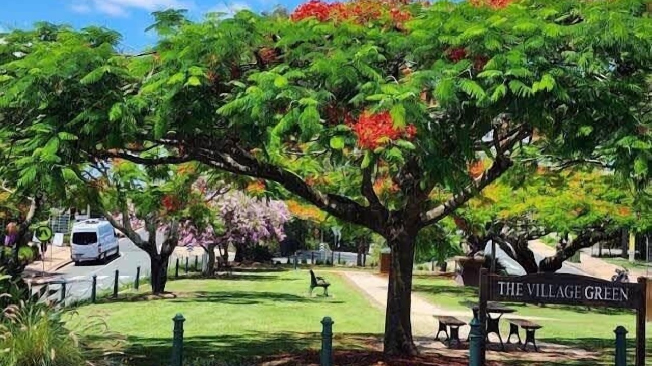 Photo of Outdoor in Mudgeeraba