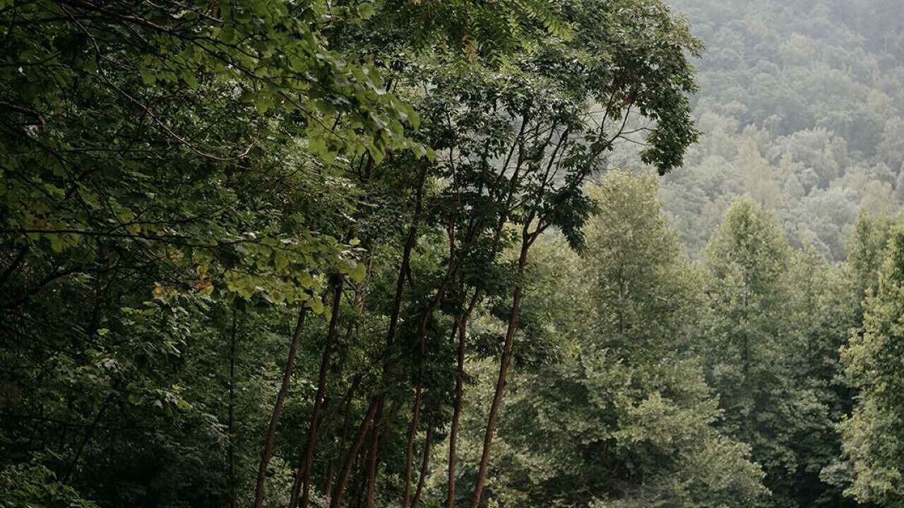Photo of Outdoor in Faber