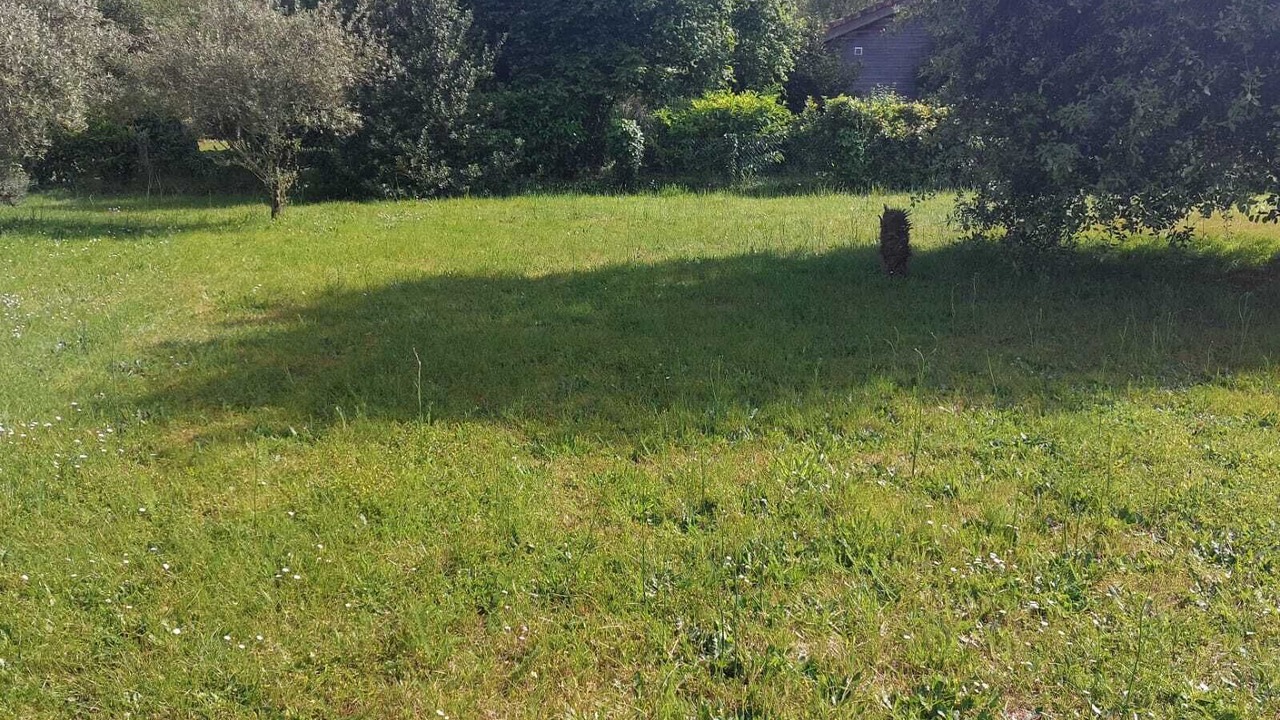 Photo of Outdoor in Saint-Vivien-de-Medoc