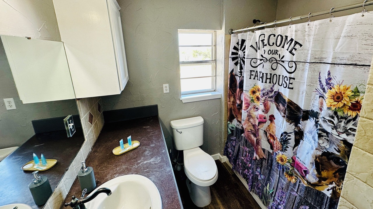 Photo of Bathroom in Hico