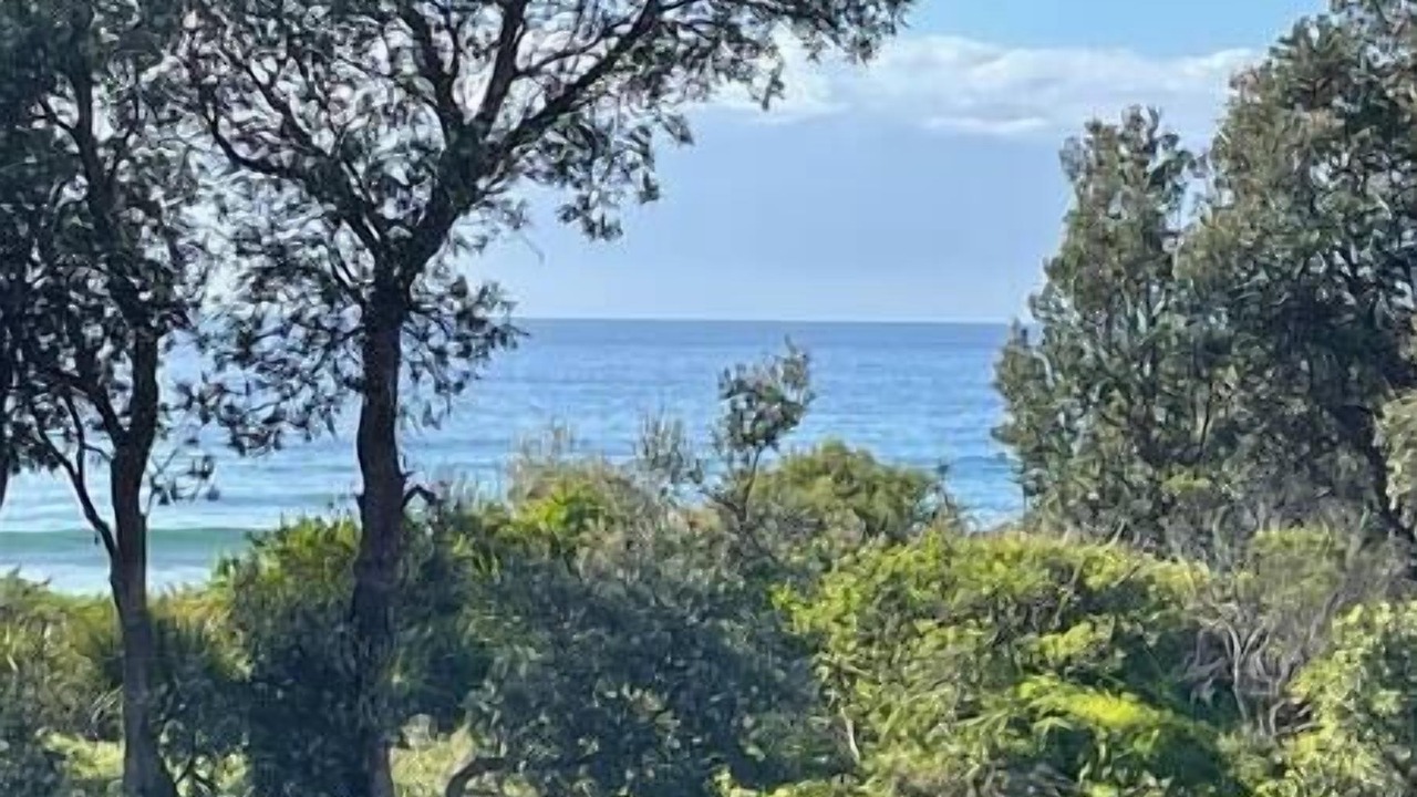 Photo of Others in Werri Beach