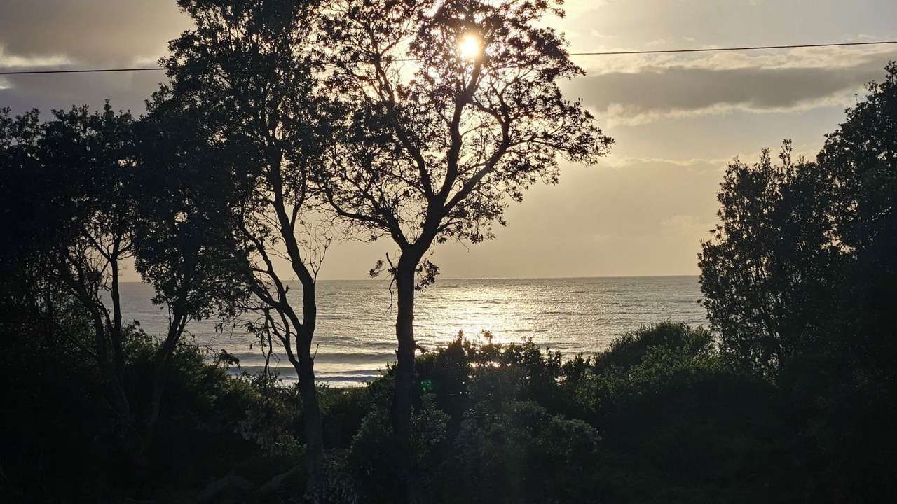 Photo of Others in Werri Beach