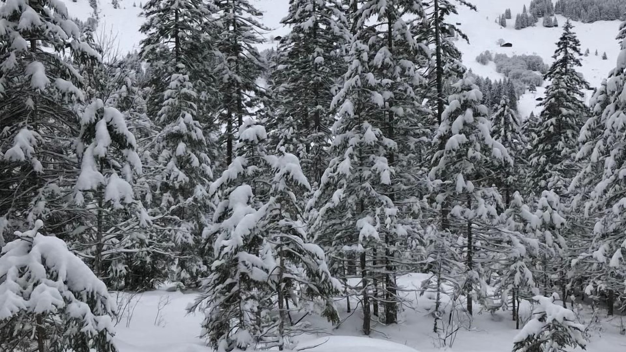 Photo of Others in Adelboden