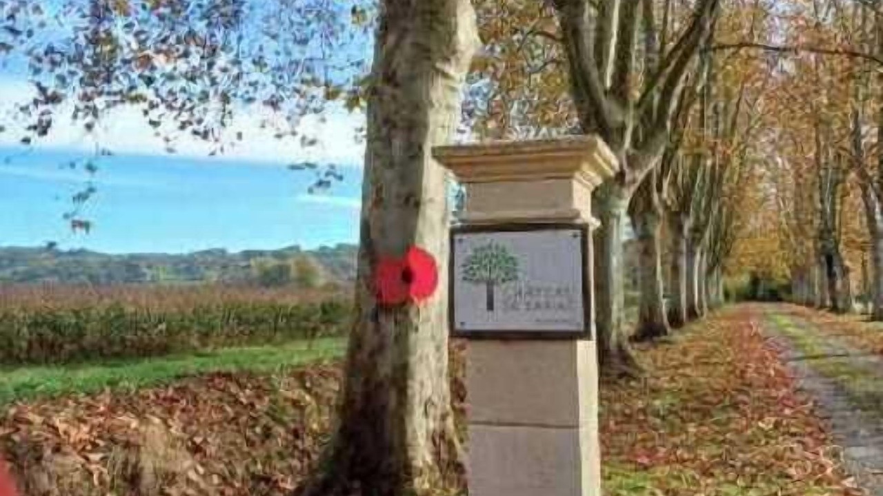 Photo of Outdoor in Sariac-Magnoac