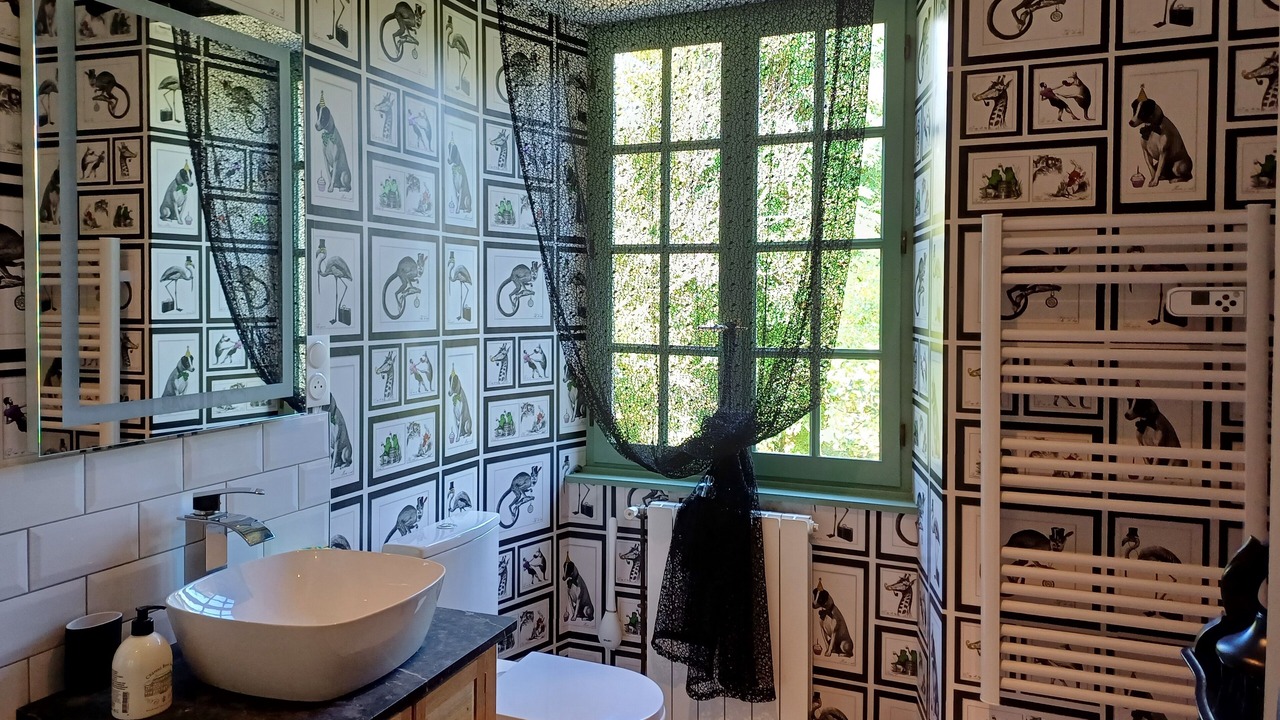 Photo of Bathroom in Sariac-Magnoac