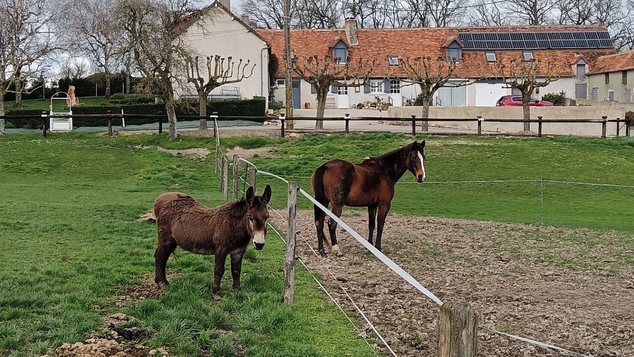 Photo of Others in Chatillon-sur-Indre