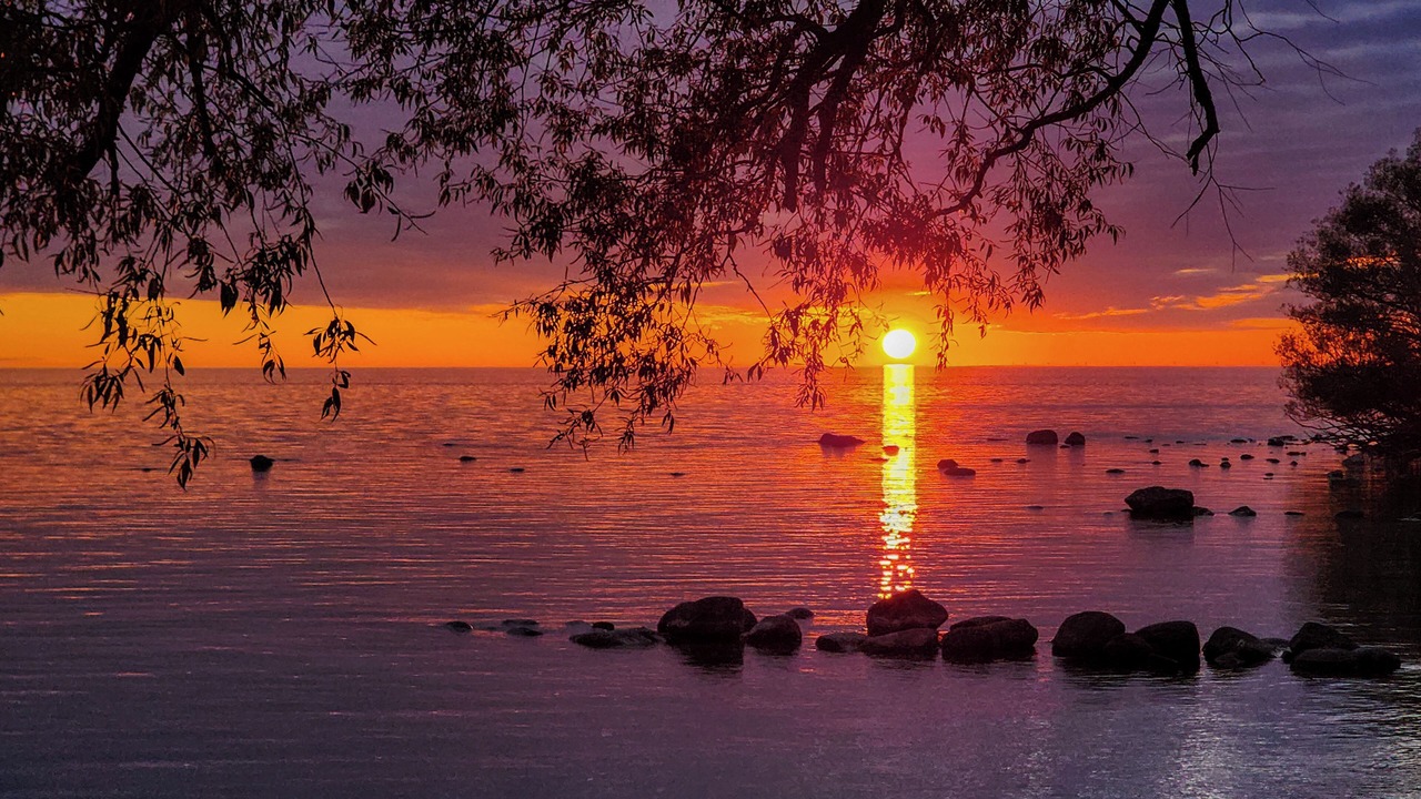 Photo of Outdoor in Three Mile Bay