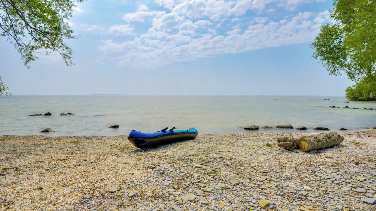 Photo of Others in Three Mile Bay