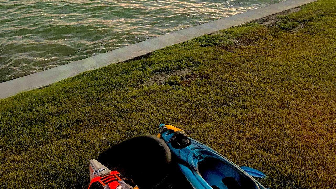 Photo of Others in Harbor Oaks