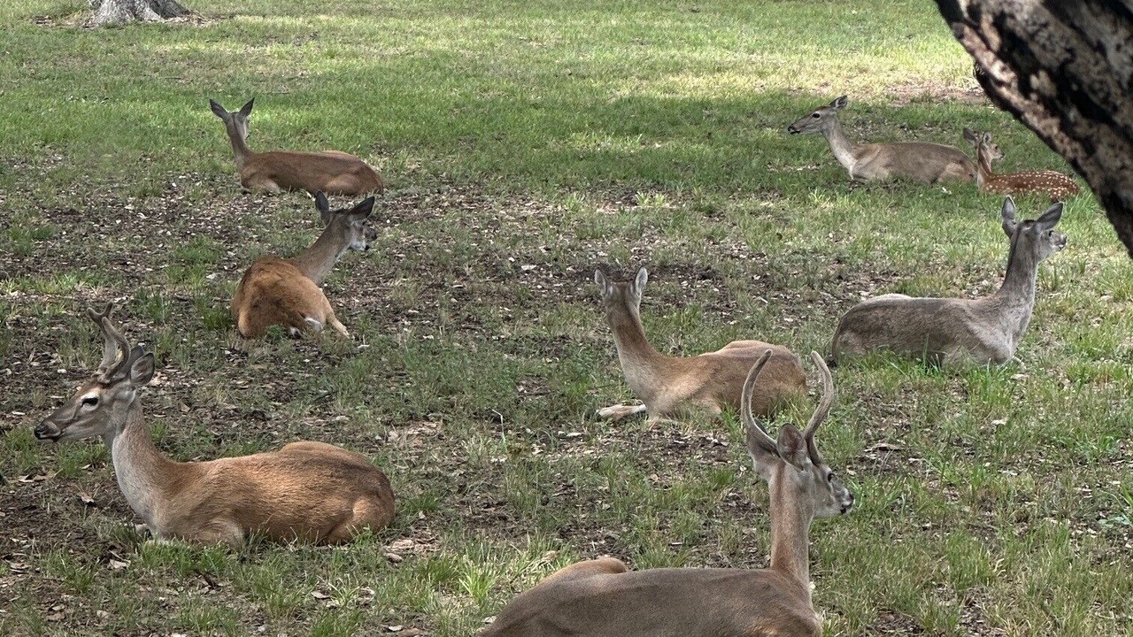 Photo of Others in Horseshoe Bay