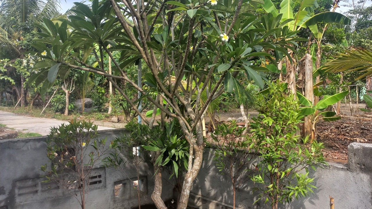 Photo of Patio Balcony in Banjarasri