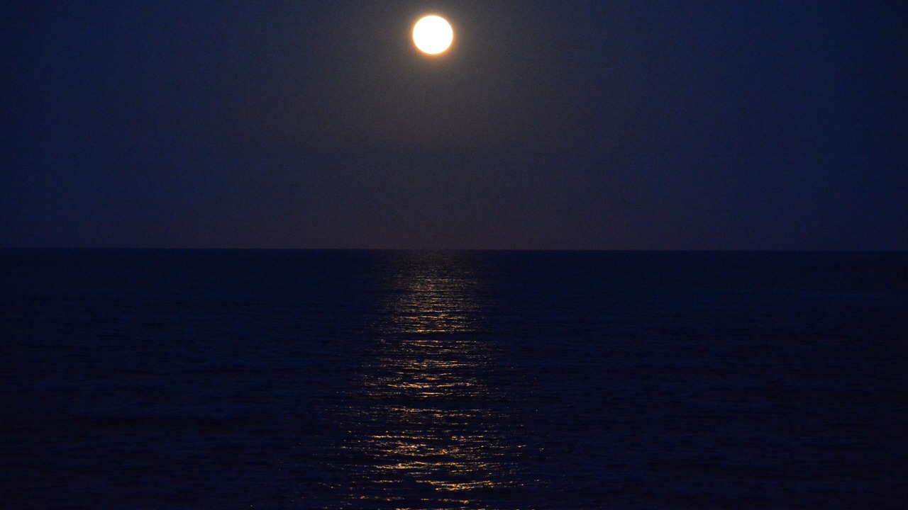 Photo of Others in Vilano Beach