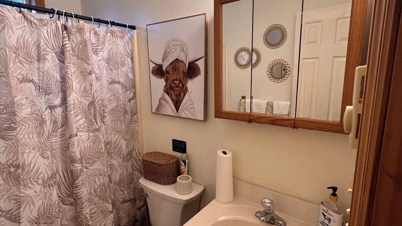 Photo of Bathroom in Lake Harmony