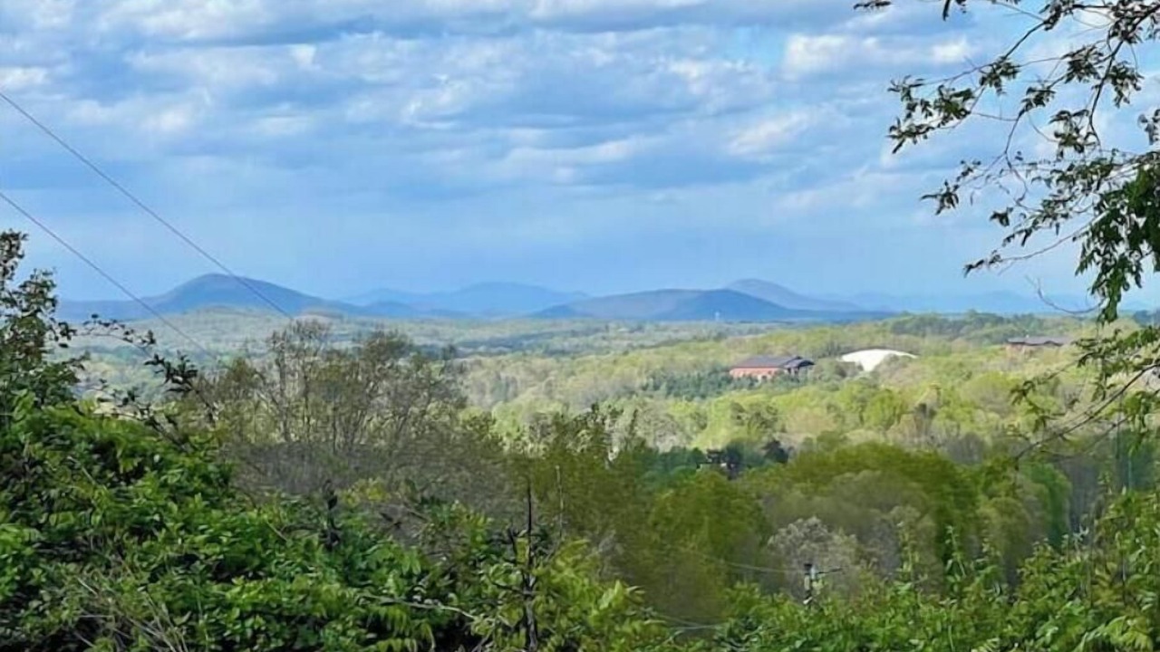 Photo of Others in Gainesville